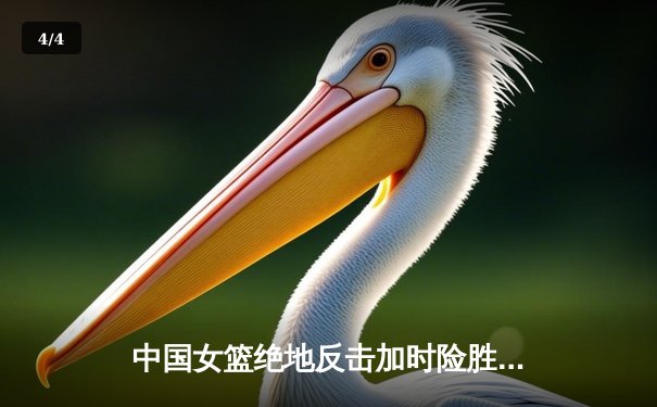 中国女篮绝地反击加时险胜日本 时隔12年重夺亚洲杯冠军 - 4