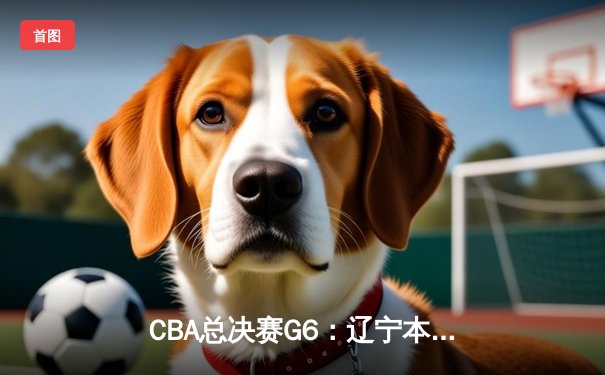 CBA总决赛G6：辽宁本钢加时逆转广东宏远 赵继伟砍28分夺赛点