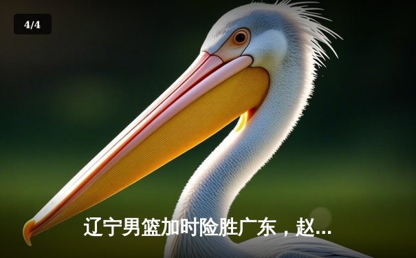 辽宁男篮加时险胜广东，赵继伟33分导演逆转好戏 - 4